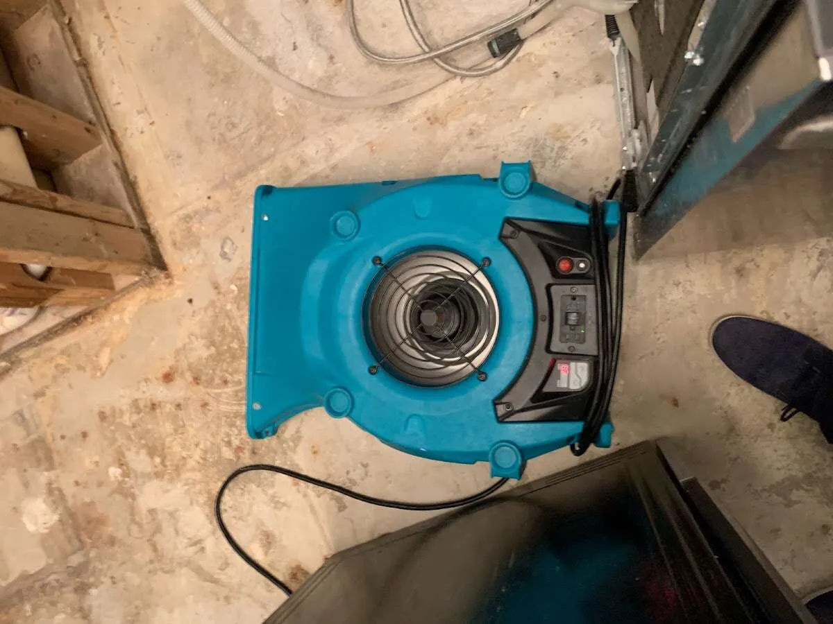 Air mover drying equipment for Mold Remediation & Removal in Vandalia